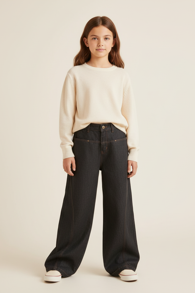 Pantalon Baggy Noir Denim Large Taille Haute - Jean